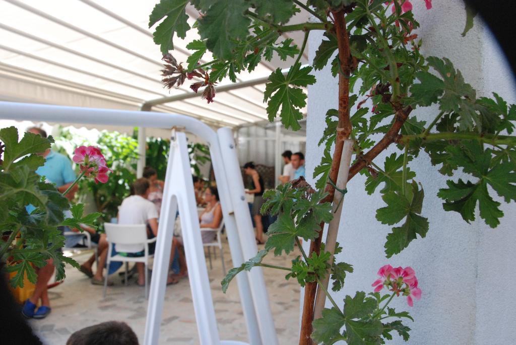 Hotel Cristall San Benedetto del Tronto Zewnętrze zdjęcie