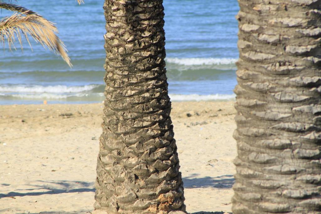 Hotel Cristall San Benedetto del Tronto Zewnętrze zdjęcie
